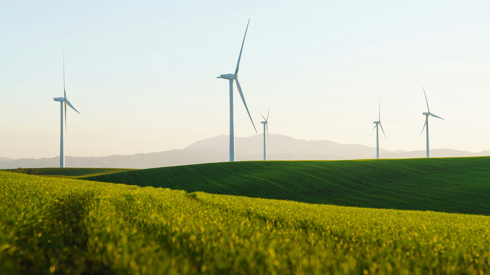 O Papel de Sustentar o Futuro